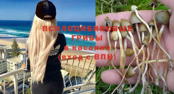 дживик Беломорск