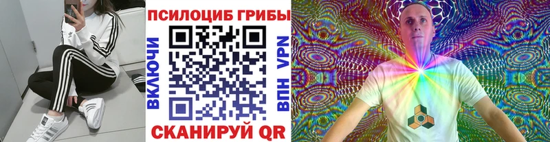 Галлюциногенные грибы прущие грибы  Жирновск 